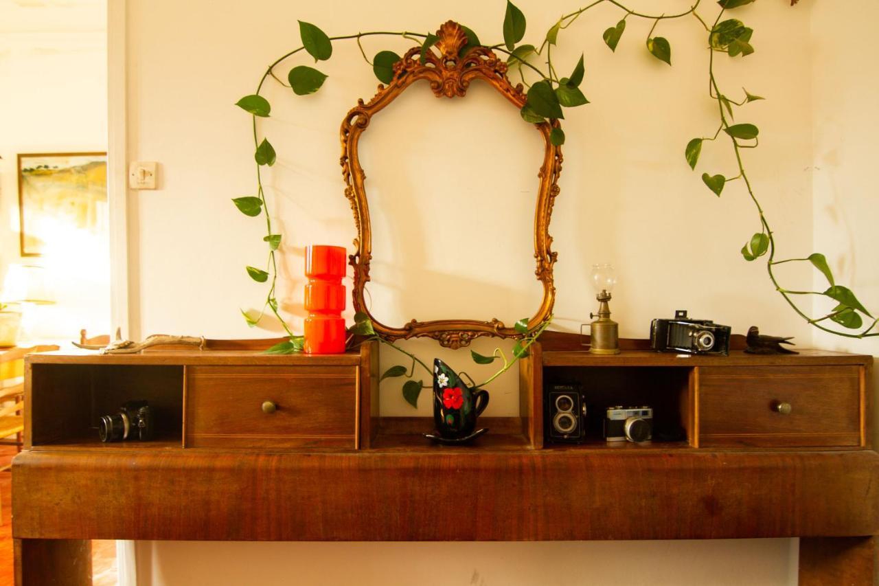 Jolie Chambre Dans Appartement Cosy En Plein Centre Marseille Kültér fotó
