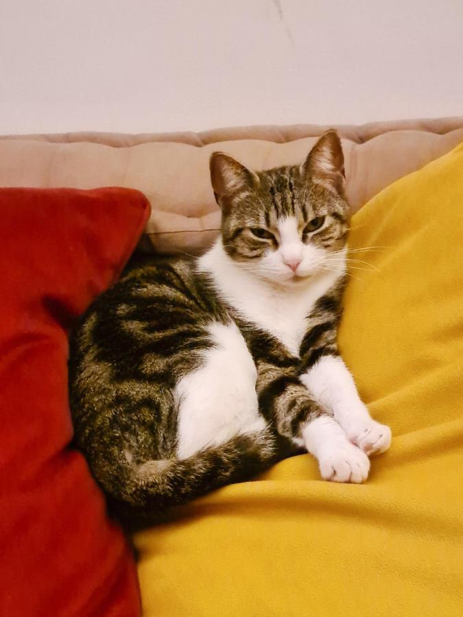 Jolie Chambre Dans Appartement Cosy En Plein Centre Marseille Kültér fotó