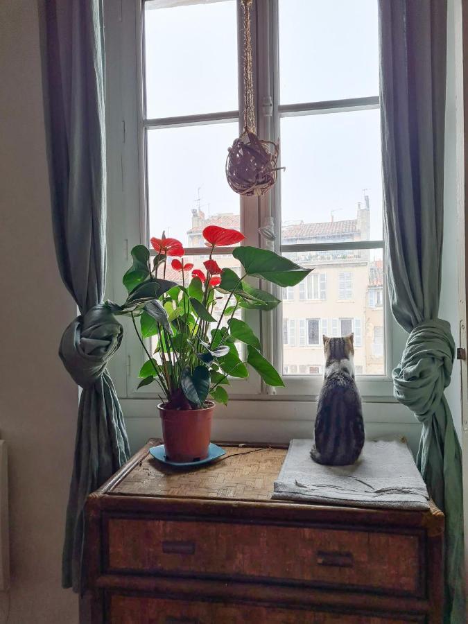 Jolie Chambre Dans Appartement Cosy En Plein Centre Marseille Kültér fotó